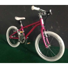 Belt-Driving Aluminum Kid Bike for 3-8 Years